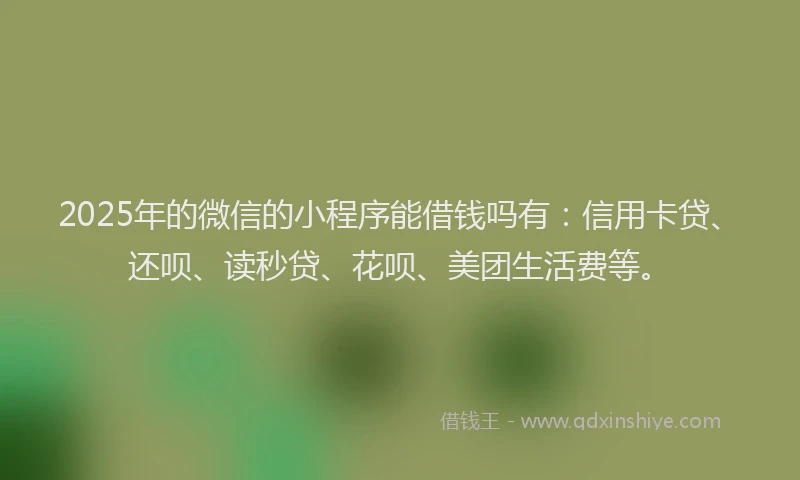 2025年的微信的小程序能借钱吗有：信用卡贷、还呗、读秒贷、花呗、美团生活费等。