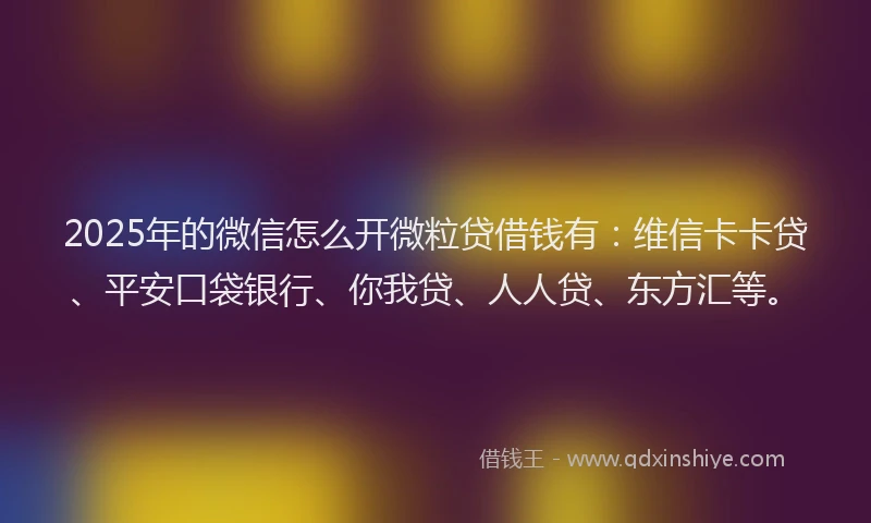 2025年的微信怎么开微粒贷借钱有：维信卡卡贷、平安口袋银行、你我贷、人人贷、东方汇等。