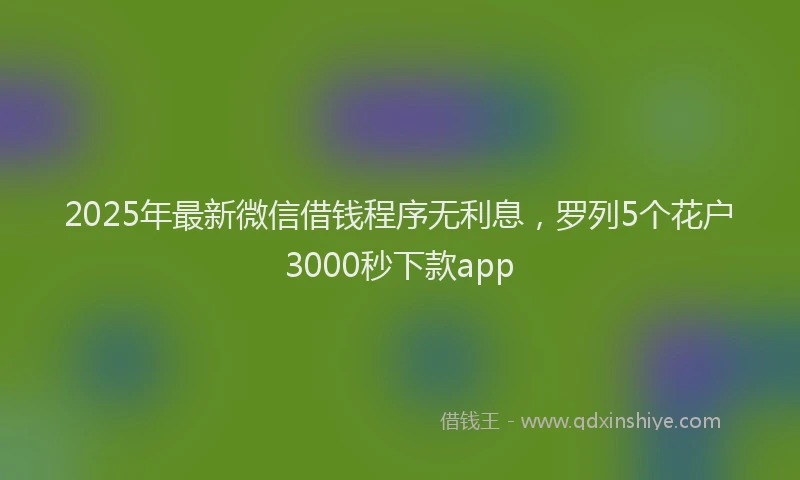 2025年最新微信借钱程序无利息，罗列5个花户3000秒下款app