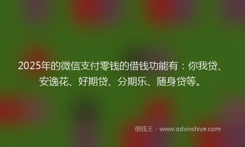 2025年的微信支付零钱的借钱功能有：你我贷、安逸花、好期贷、分期乐、随身贷等。