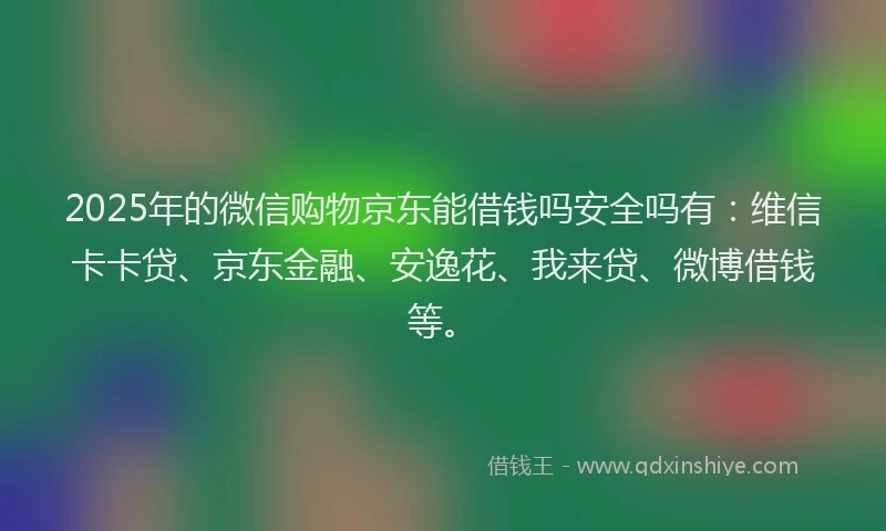 2025年的微信购物京东能借钱吗安全吗有：维信卡卡贷、京东金融、安逸花、我来贷、微博借钱等。
