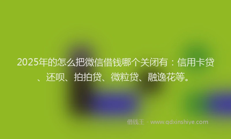2025年的怎么把微信借钱哪个关闭有：信用卡贷、还呗、拍拍贷、微粒贷、融逸花等。