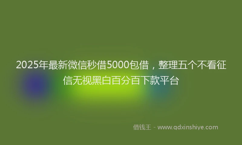 2025年最新微信秒借5000包借，整理五个不看征信无视黑白百分百下款平台
