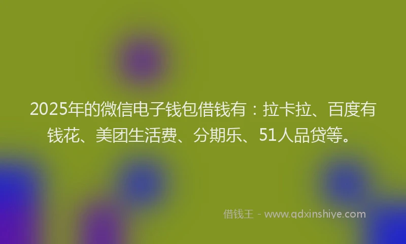 2025年的微信电子钱包借钱有：拉卡拉、百度有钱花、美团生活费、分期乐、51人品贷等。