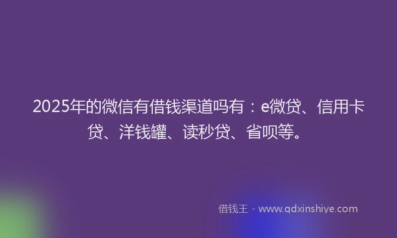 2025年的微信有借钱渠道吗有：e微贷、信用卡贷、洋钱罐、读秒贷、省呗等。
