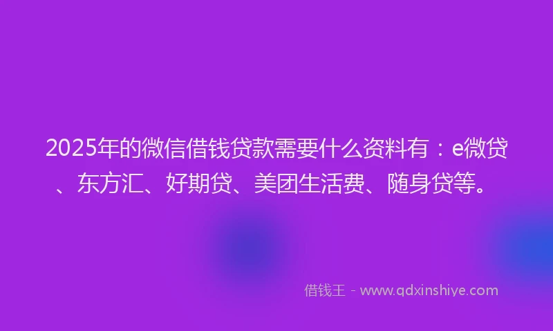 2025年的微信借钱贷款需要什么资料有：e微贷、东方汇、好期贷、美团生活费、随身贷等。