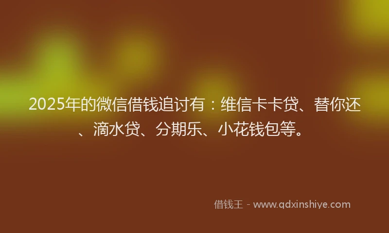2025年的微信借钱追讨有：维信卡卡贷、替你还、滴水贷、分期乐、小花钱包等。