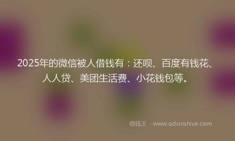 2025年的微信被人借钱有：还呗、百度有钱花、人人贷、美团生活费、小花钱包等。