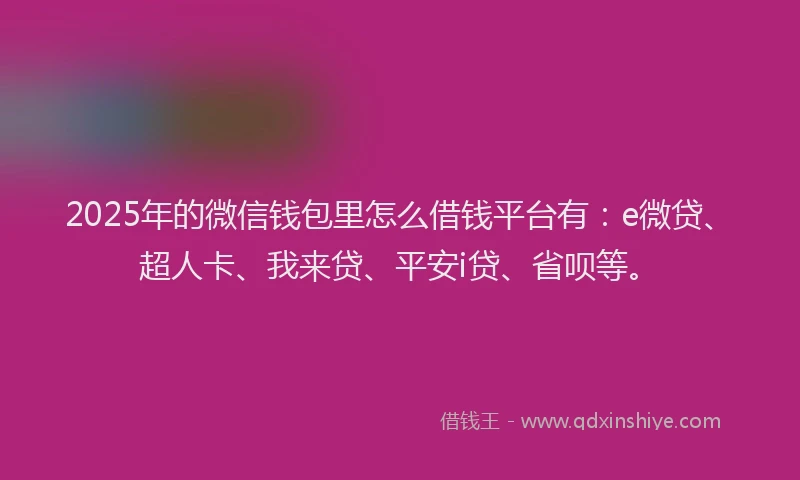 2025年的微信钱包里怎么借钱平台有：e微贷、超人卡、我来贷、平安i贷、省呗等。