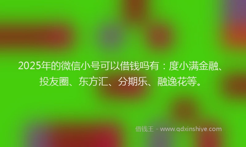 2025年的微信小号可以借钱吗有：度小满金融、投友圈、东方汇、分期乐、融逸花等。