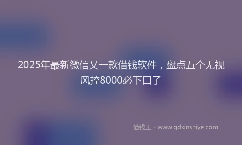 2025年最新微信又一款借钱软件，盘点五个无视风控8000必下口子