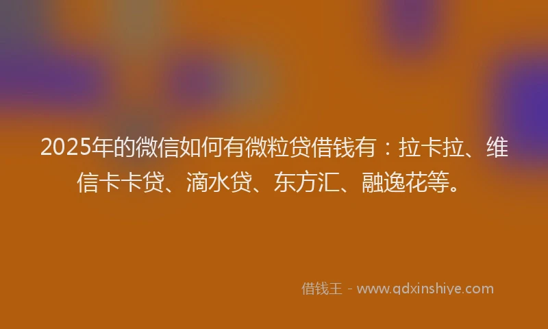 2025年的微信如何有微粒贷借钱有：拉卡拉、维信卡卡贷、滴水贷、东方汇、融逸花等。