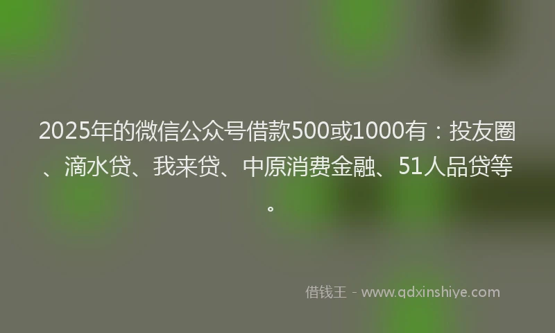 2025年的微信公众号借款500或1000有：投友圈、滴水贷、我来贷、中原消费金融、51人品贷等。