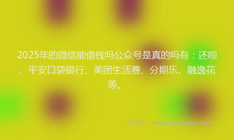 2025年的微信能借钱吗公众号是真的吗有：还呗、平安口袋银行、美团生活费、分期乐、融逸花等。