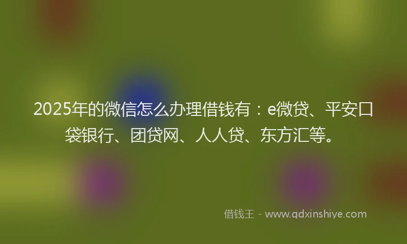 2025年的微信怎么办理借钱有：e微贷、平安口袋银行、团贷网、人人贷、东方汇等。