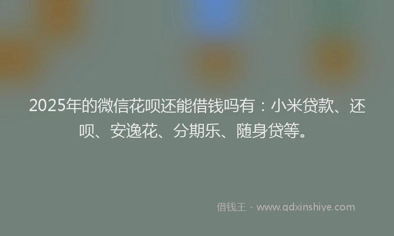 2025年的微信花呗还能借钱吗有：小米贷款、还呗、安逸花、分期乐、随身贷等。