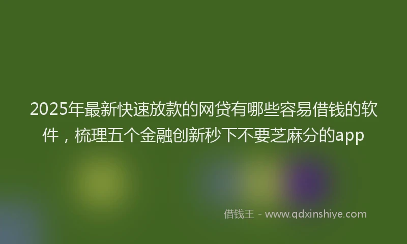 2025年最新快速放款的网贷有哪些容易借钱的软件，梳理五个金融创新秒下不要芝麻分的app