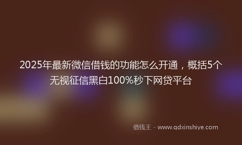 2025年最新微信借钱的功能怎么开通，概括5个无视征信黑白100%秒下网贷平台