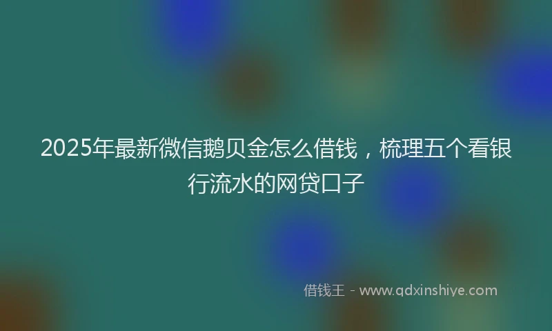 2025年最新微信鹅贝金怎么借钱，梳理五个看银行流水的网贷口子