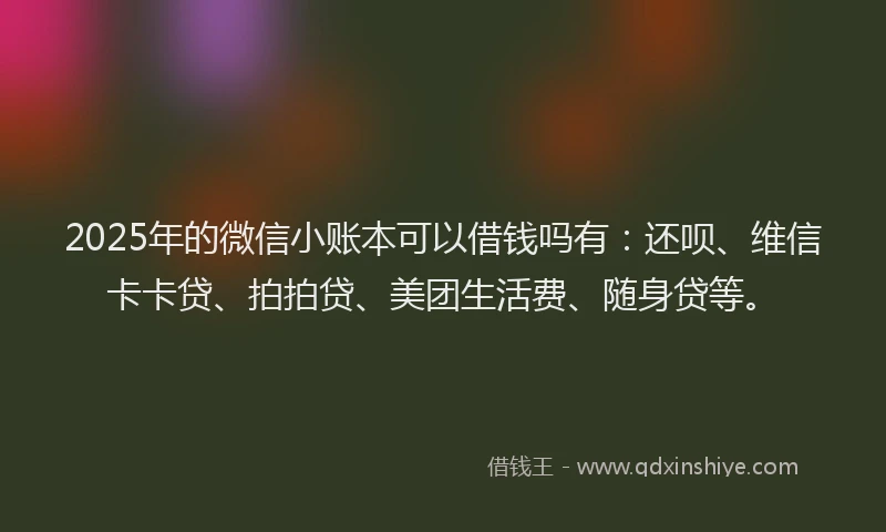 2025年的微信小账本可以借钱吗有：还呗、维信卡卡贷、拍拍贷、美团生活费、随身贷等。