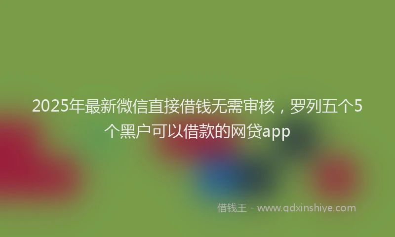 2025年最新微信直接借钱无需审核，罗列五个5个黑户可以借款的网贷app