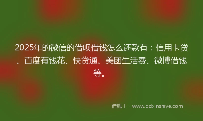 2025年的微信的借呗借钱怎么还款有：信用卡贷、百度有钱花、快贷通、美团生活费、微博借钱等。