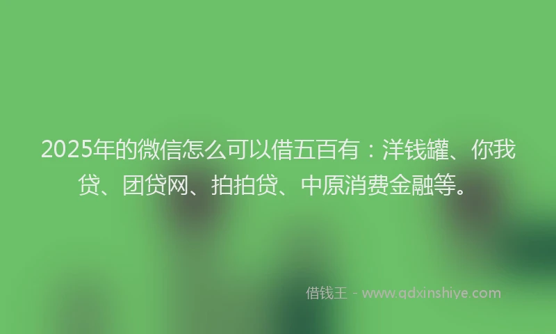 2025年的微信怎么可以借五百有：洋钱罐、你我贷、团贷网、拍拍贷、中原消费金融等。