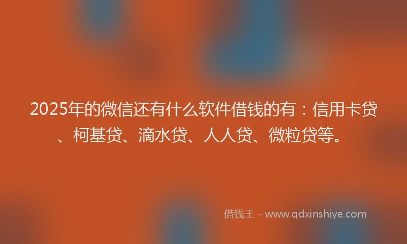 2025年的微信还有什么软件借钱的有：信用卡贷、柯基贷、滴水贷、人人贷、微粒贷等。