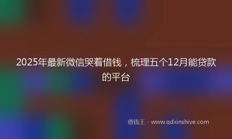 2025年最新微信哭着借钱，梳理五个12月能贷款的平台
