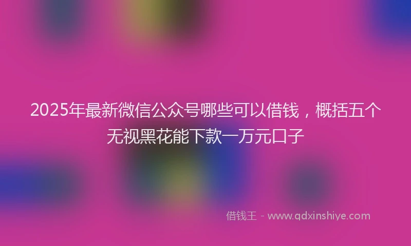 2025年最新微信公众号哪些可以借钱，概括五个无视黑花能下款一万元口子