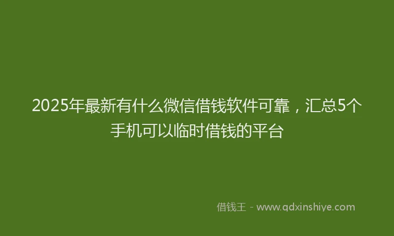2025年最新有什么微信借钱软件可靠，汇总5个手机可以临时借钱的平台