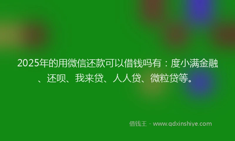 2025年的用微信还款可以借钱吗有：度小满金融、还呗、我来贷、人人贷、微粒贷等。