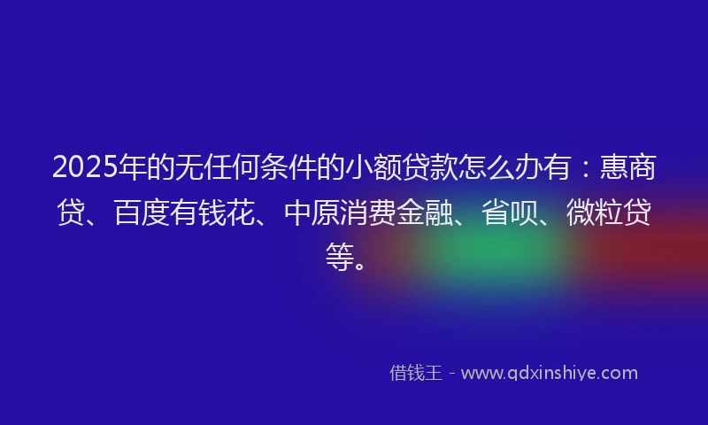 2025年的无任何条件的小额贷款怎么办有：惠商贷、百度有钱花、中原消费金融、省呗、微粒贷等。