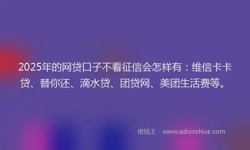 2025年的网贷口子不看征信会怎样有：维信卡卡贷、替你还、滴水贷、团贷网、美团生活费等。