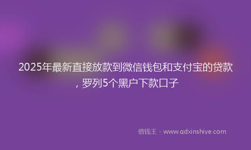 2025年最新直接放款到微信钱包和支付宝的贷款，罗列5个黑户下款口子