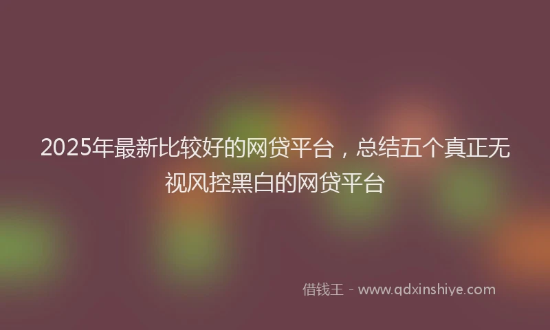 2025年最新比较好的网贷平台，总结五个真正无视风控黑白的网贷平台
