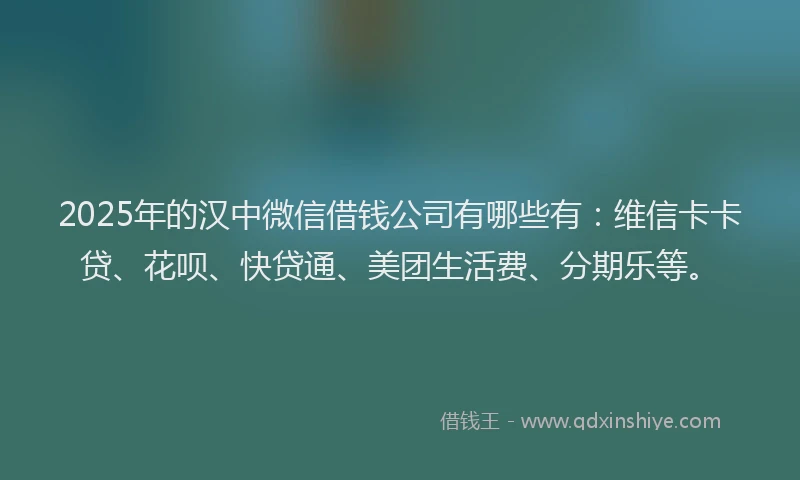 2025年的汉中微信借钱公司有哪些有：维信卡卡贷、花呗、快贷通、美团生活费、分期乐等。