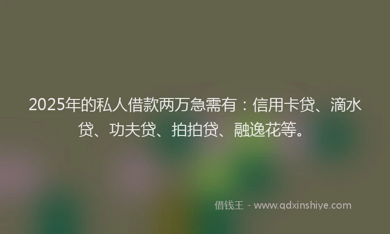 2025年的私人借款两万急需有：信用卡贷、滴水贷、功夫贷、拍拍贷、融逸花等。