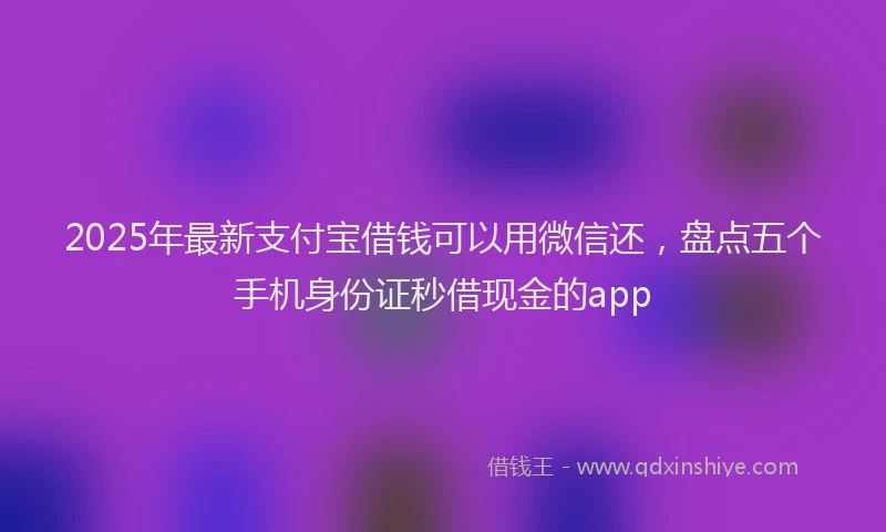 2025年最新支付宝借钱可以用微信还，盘点五个手机身份证秒借现金的app