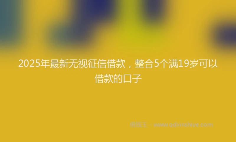 2025年最新无视征信借款，整合5个满19岁可以借款的口子