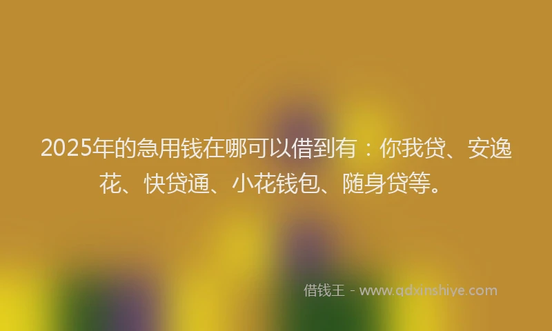 2025年的急用钱在哪可以借到有：你我贷、安逸花、快贷通、小花钱包、随身贷等。