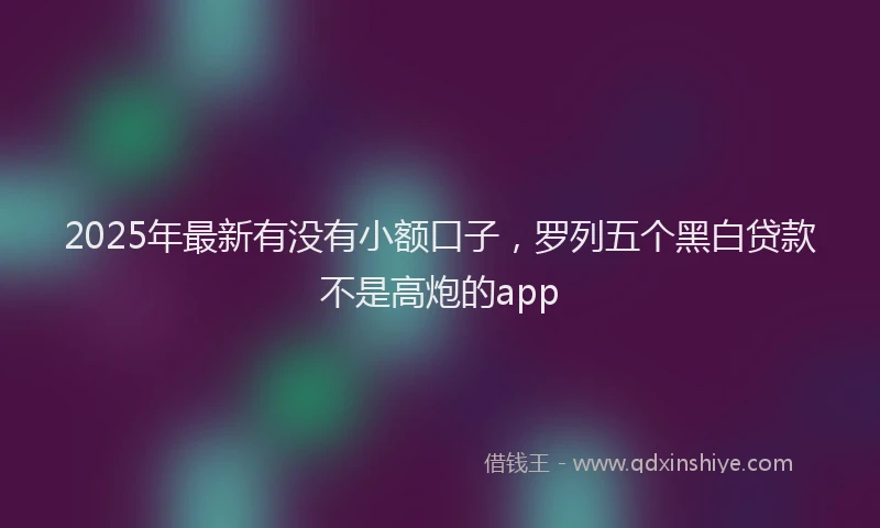 2025年最新有没有小额口子，罗列五个黑白贷款不是高炮的app