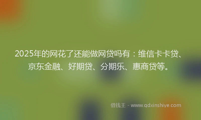 2025年的网花了还能做网贷吗有：维信卡卡贷、京东金融、好期贷、分期乐、惠商贷等。