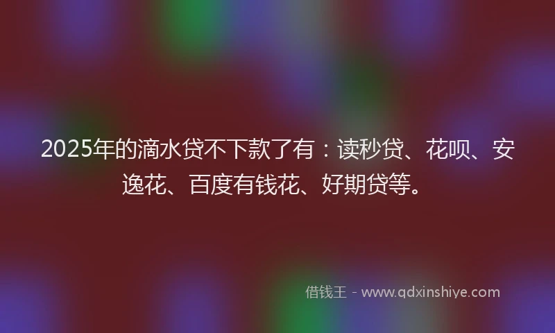 2025年的滴水贷不下款了有：读秒贷、花呗、安逸花、百度有钱花、好期贷等。