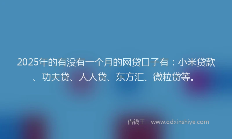 2025年的有没有一个月的网贷口子有：小米贷款、功夫贷、人人贷、东方汇、微粒贷等。
