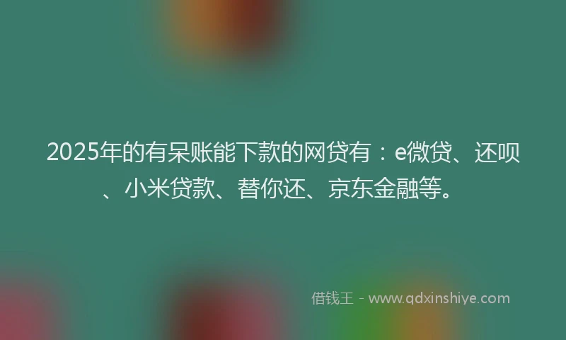 2025年的有呆账能下款的网贷有：e微贷、还呗、小米贷款、替你还、京东金融等。