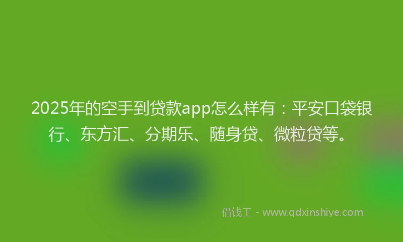 2025年的空手到贷款app怎么样有：平安口袋银行、东方汇、分期乐、随身贷、微粒贷等。