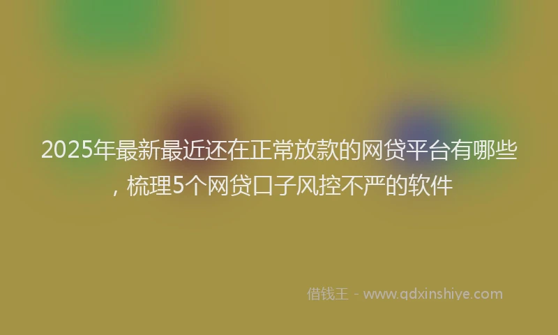 2025年最新最近还在正常放款的网贷平台有哪些，梳理5个网贷口子风控不严的软件