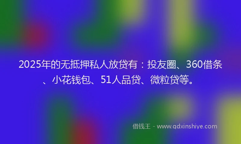 2025年的无抵押私人放贷有：投友圈、360借条、小花钱包、51人品贷、微粒贷等。