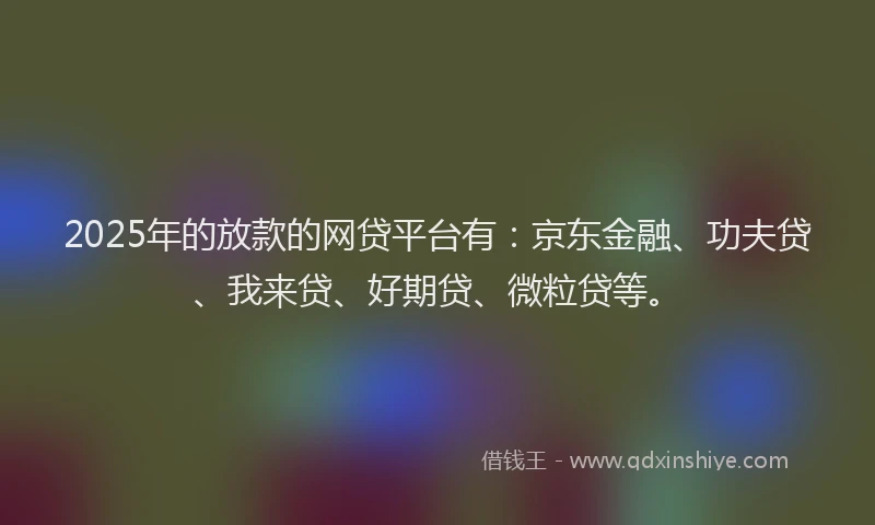 2025年的放款的网贷平台有：京东金融、功夫贷、我来贷、好期贷、微粒贷等。